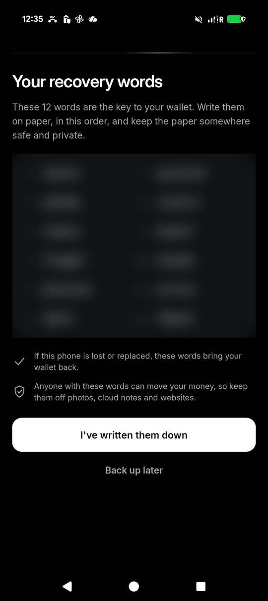 The wallet showing the twelve recovery words, blurred here